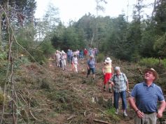 auf-dem-holzweg-illmenseer-seenplatte-2017