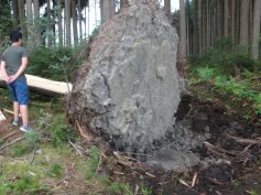 folgen-eines-sturms-illmenseer-seenplatte-2017