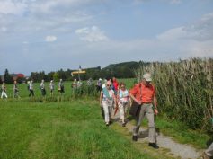 im-gaensemarsch2-illmenseer-seenplatte-2017