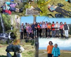 k1024_im-schwarzwald-herzogenhorn-14-10-2017-1