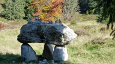 k1024_im-schwarzwald-herzogenhorn-14-10-2017-5