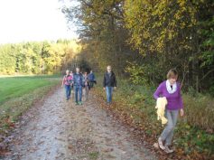 Wertigstour Rund um den Lindenbühl