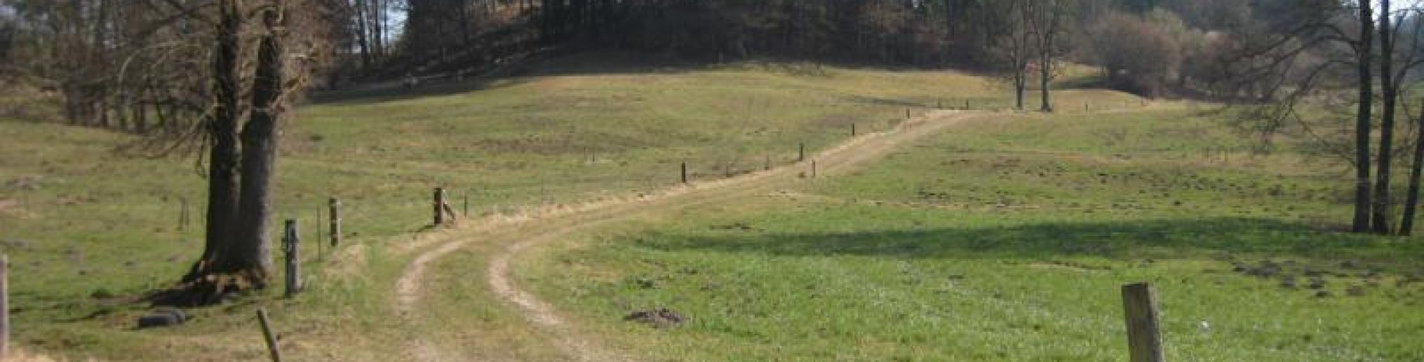 Schwäbischer Albverein | Ortsgruppe Meßkirch