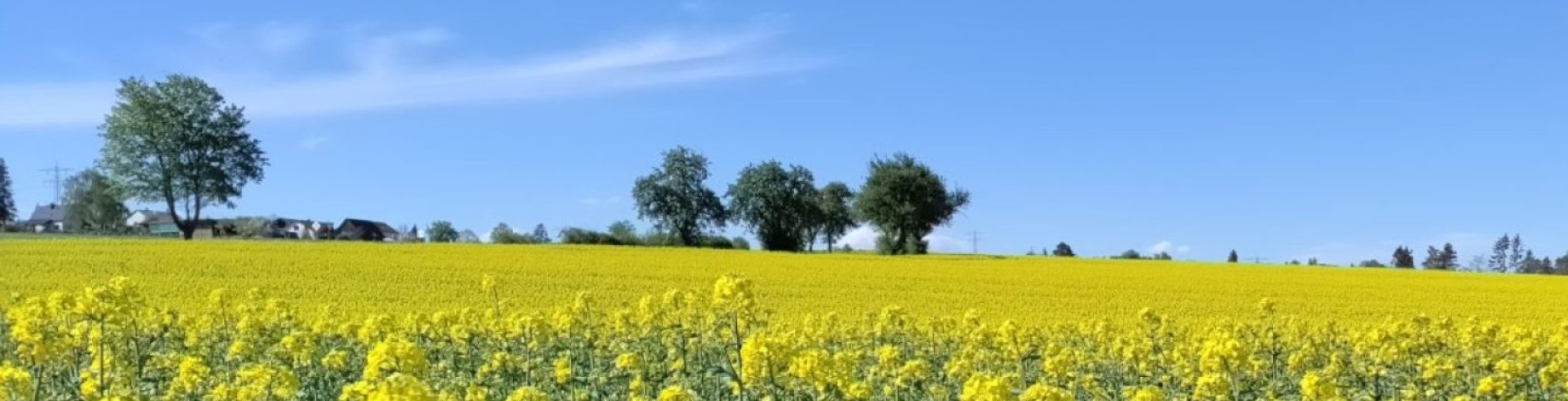 Schwäbischer Albverein | Ortsgruppe Meßkirch